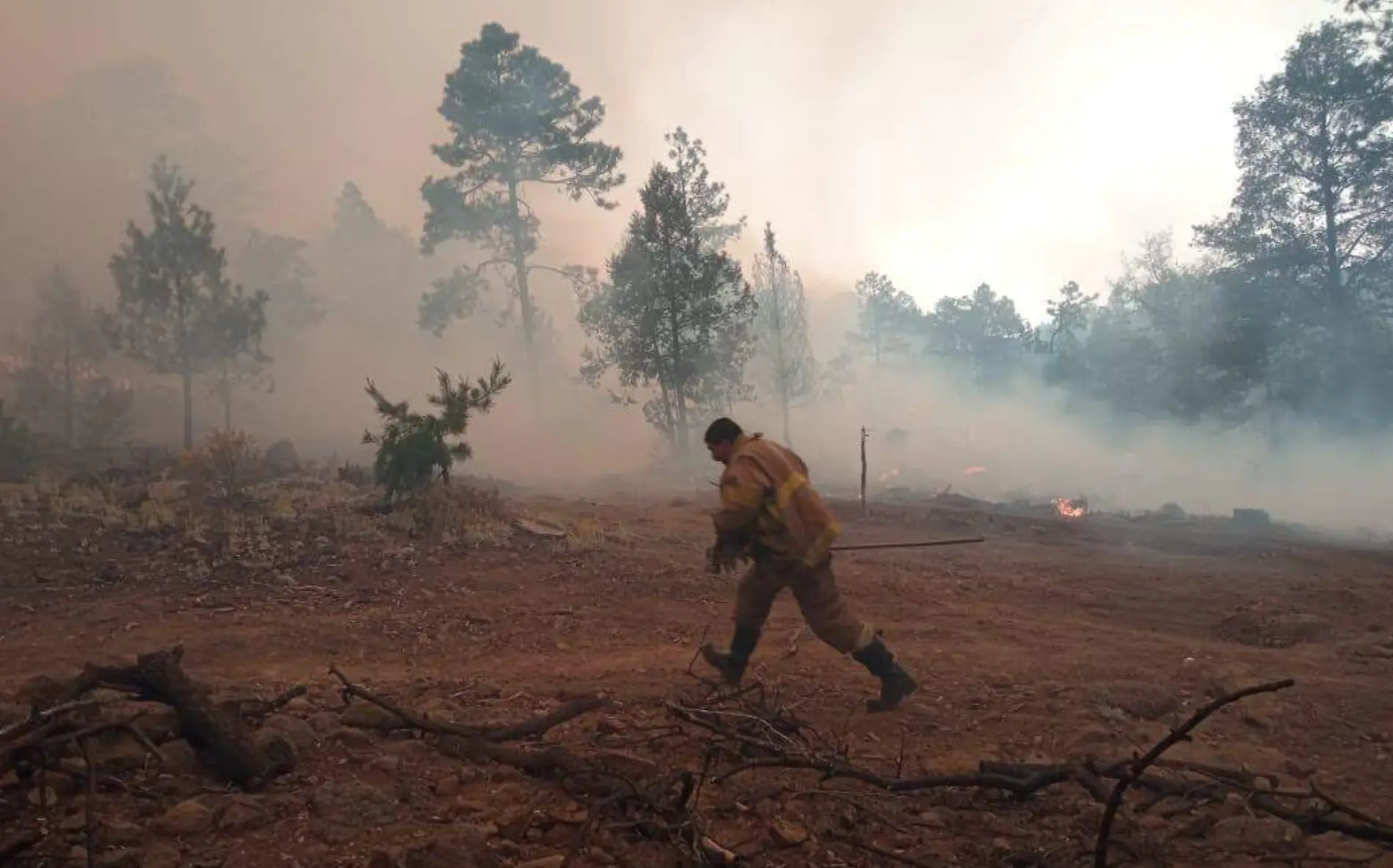 aincendio Forestal